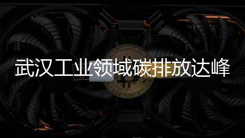 武汉工业领域碳排放达峰路径研究报告