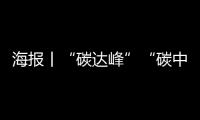 海报丨“碳达峰”“碳中和”，大咖这么说