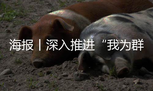 海报丨深入推进“我为群众办实事”实践活动，24个字要牢记