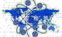 海报丨大国“粮”策：农忙在夏至，挥汗在田间