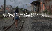 氧化锆氧气传感器在碳排放自动监测系统中的应用