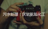 污水处理：厌氧氨氧化工艺的工程化应用进展