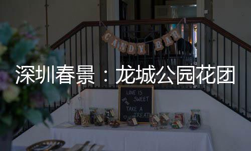 深圳春景：龙城公园花团锦簇 一片生机勃勃
