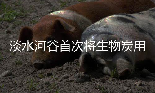 淡水河谷首次将生物炭用于球团矿生产，技术储备有多少？