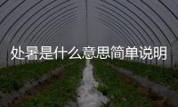处暑是什么意思简单说明
