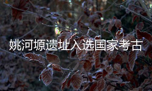 姚河塬遗址入选国家考古遗址公园立项名单