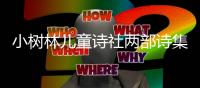 小树林儿童诗社两部诗集首发 专家研讨“让孩子拥抱诗”