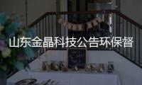 山东金晶科技公告环保督查整改措施及实行效果