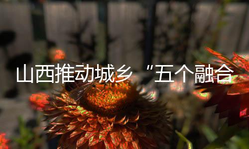 山西推动城乡“五个融合” 促进共同富裕