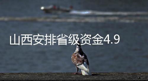 山西安排省级资金4.95亿元支持乡村e镇