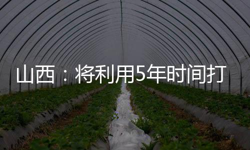 山西：将利用5年时间打造7个构树扶贫工程基地