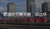 遭遇投资黑天鹅，菲达环保付出了多大代价？