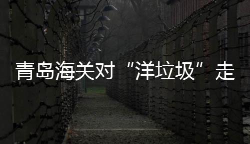 青岛海关对“洋垃圾”走私实施持续打击