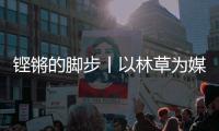铿锵的脚步丨以林草为媒 山西这样点绿成金