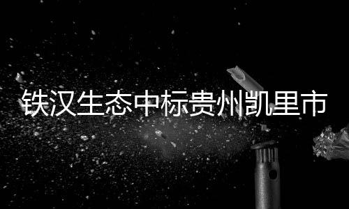 铁汉生态中标贵州凯里市清水江生态治理EPC项目 总投资约7亿元