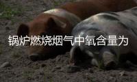 锅炉燃烧烟气中氧含量为什么不能超过6%? 如何降低烟气中的氧含量？