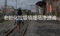 老龄化垃圾填埋场渗滤液全量化处理工程实例