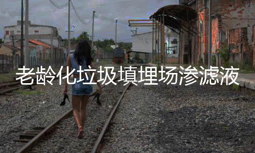 老龄化垃圾填埋场渗滤液全量化处理工程实例