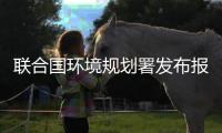 联合国环境规划署发布报告《2020年排放差距报告》