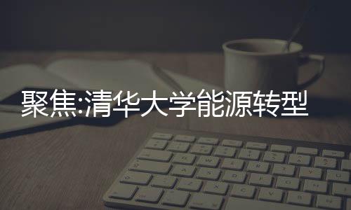 聚焦:清华大学能源转型中心“光伏+生态修复”研讨会成功举行