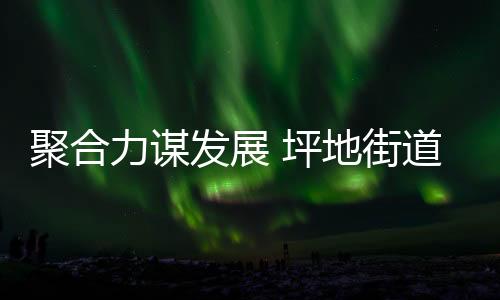 聚合力谋发展 坪地街道新联会共绘坪地发展新蓝图！