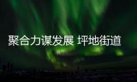 聚合力谋发展 坪地街道新联会共绘坪地发展新蓝图！