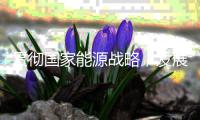 贯彻国家能源战略，发展液态阳光经济