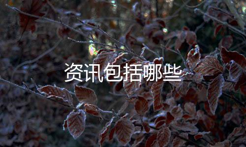资讯包括哪些