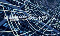 风电国产轴承玩不转“大兆瓦”？