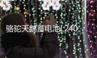 骆驼天鹅蓄电池L2400适配高尔夫迈腾明锐捷达力帆12V60AH汽车电瓶
