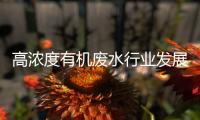 高浓度有机废水行业发展趋势与机遇分析