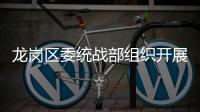 龙岗区委统战部组织开展学习党的二十大精神专题辅导