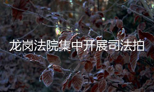 龙岗法院集中开展司法拍卖不动产清场交付专项行动