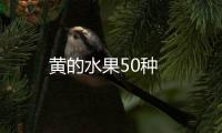 黄的水果50种