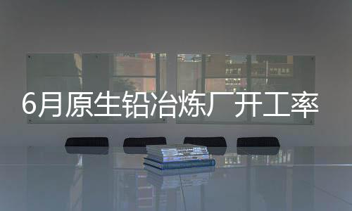 6月原生铅冶炼厂开工率56．35％