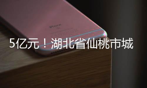 5亿元！湖北省仙桃市城南污水处理厂及管网项目将招标