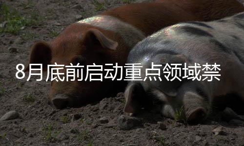 8月底前启动重点领域禁限塑推进情况专项执法检查