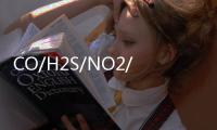 CO/H2S/NO2/SO2/O2传感器