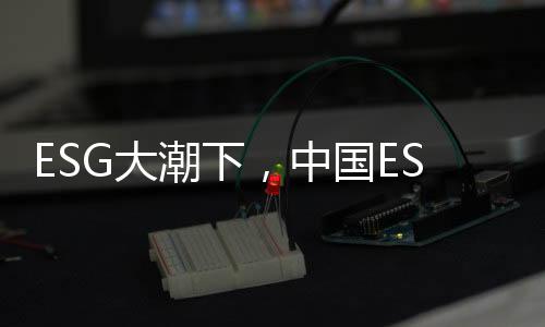 ESG大潮下，中国ESG评价体系走到哪一步了？