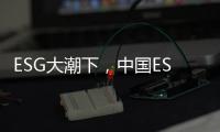 ESG大潮下，中国ESG评价体系走到哪一步了？