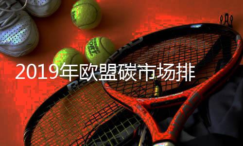2019年欧盟碳市场排放量下降8.7%
