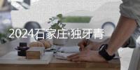 2024石家庄·独牙青少年中式九球联赛(鲲联赛）开幕