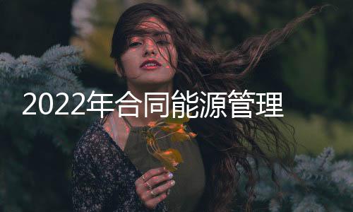 2022年合同能源管理研究报告