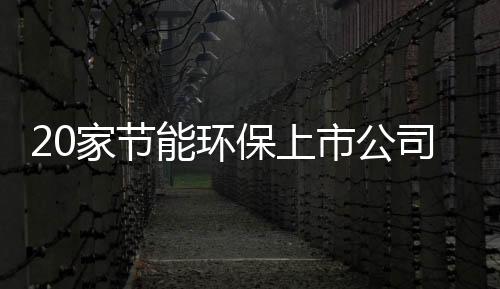 20家节能环保上市公司业绩排名及2018年投资市场分析